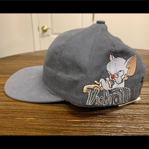 VINTAGE 90s Pinky and the Brain Animaniacs Hat NWT - Picture 6 of 16